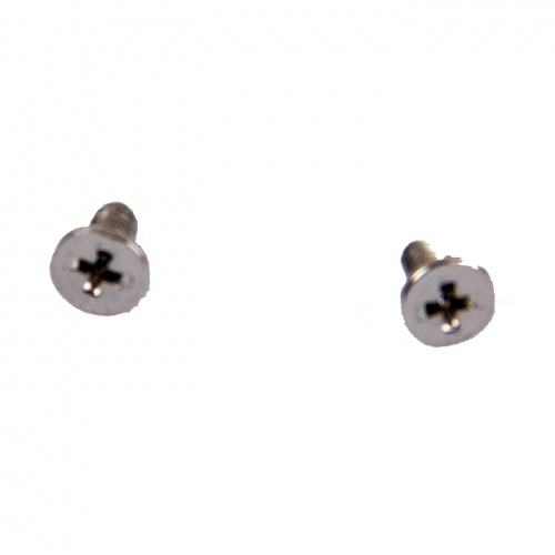 Śrubki Lenovo M2.0 x 4 mm srebrna